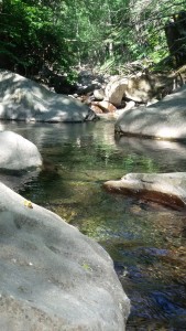Fiumalbo Rio Acquiciola#escursioni appennino tosco emiliano