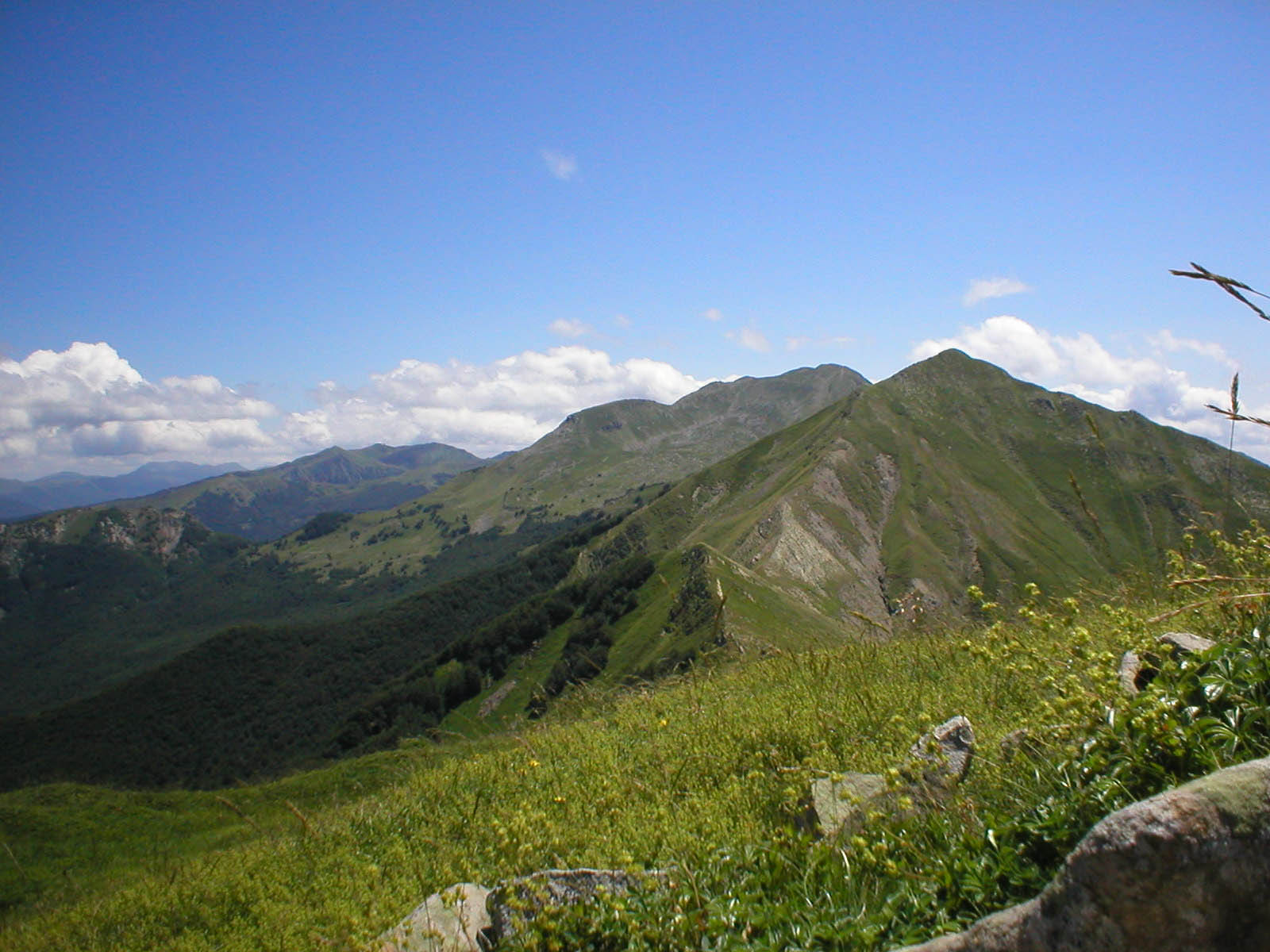 Escursioni Appennino Tosco-Emiliano 31 Luglio 1-2 Agosto