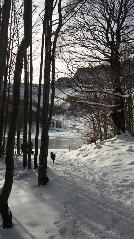 Nuova neve…e nuove ciaspolate in Appennino