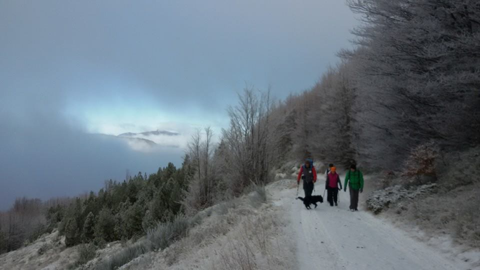 Torna la neve sulla via dei monti. Ecco le ciaspolate in Appennino nel weekend