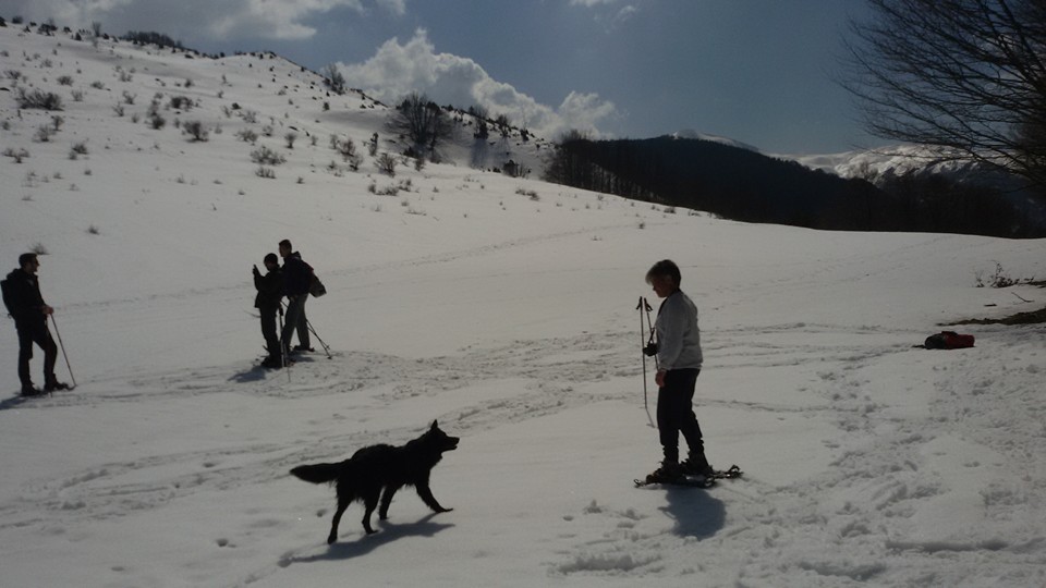 Ciaspolate sulla neve di primavera