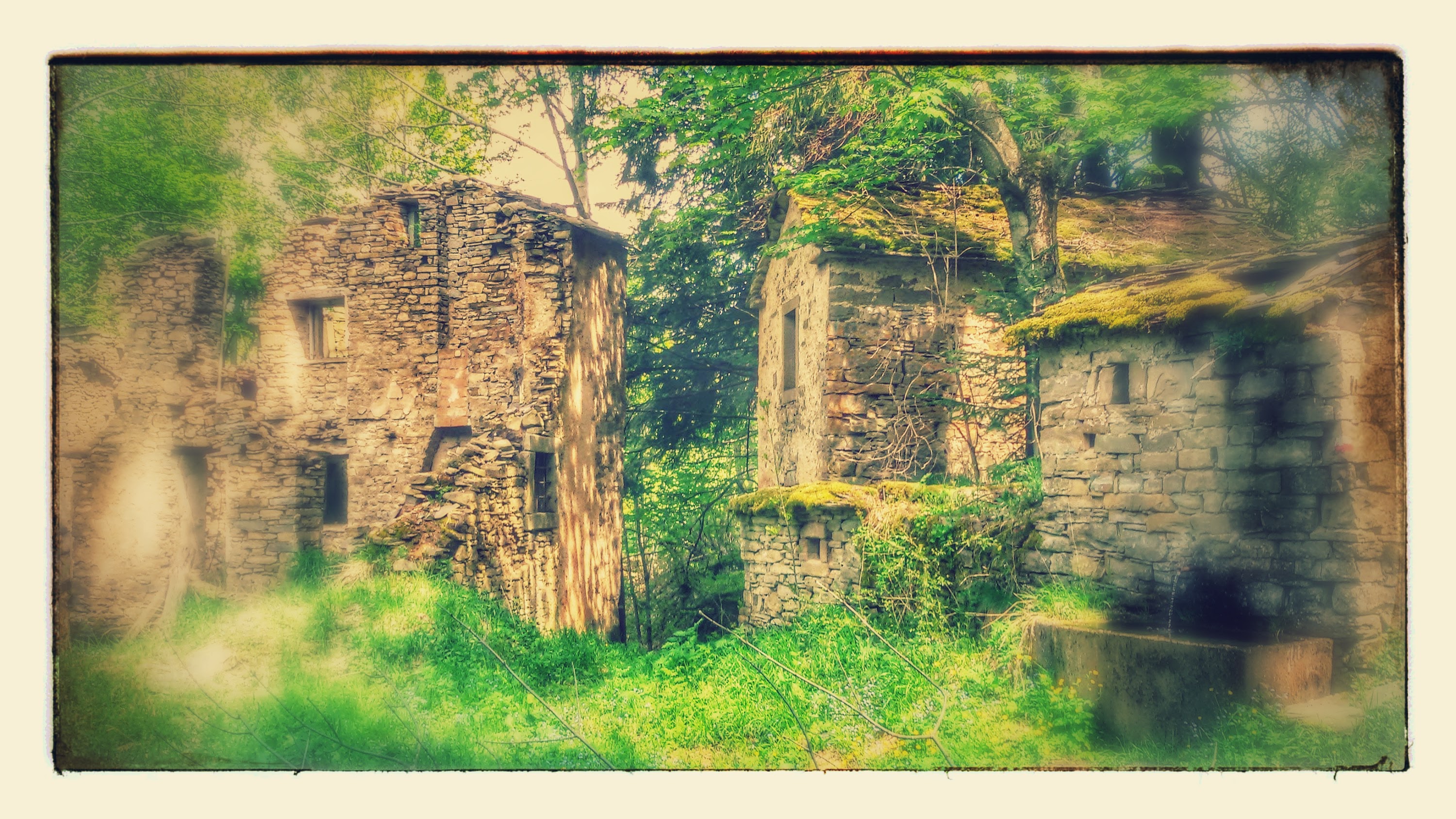 Borghi abbandonati, fossi e tritoni. Un trekking suggestivo in Appennino