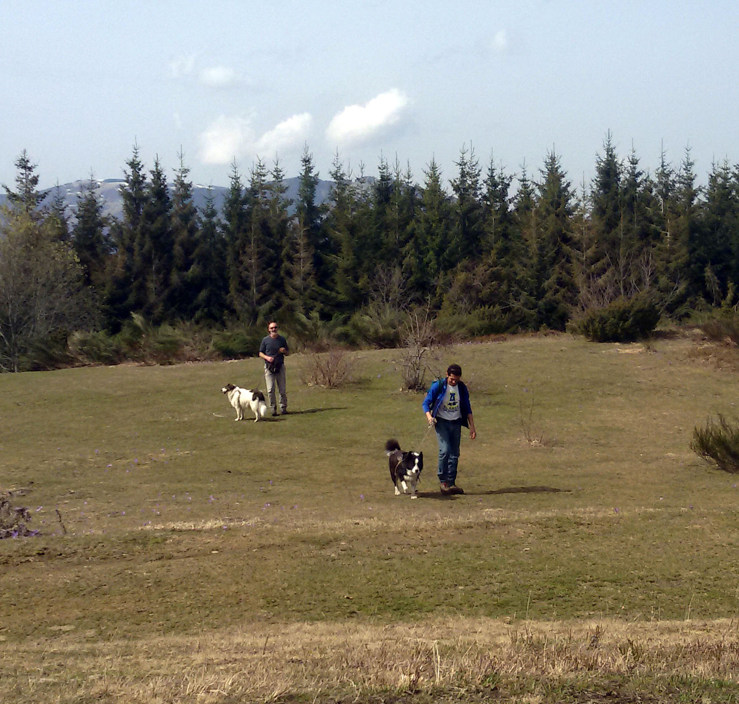 Nel bosco con Fido per scoprire i segreti del lupo