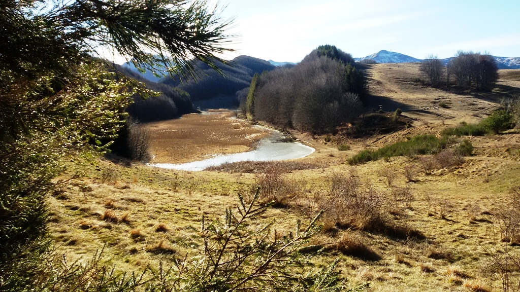 Le piante carnivore del lago di Pratignana