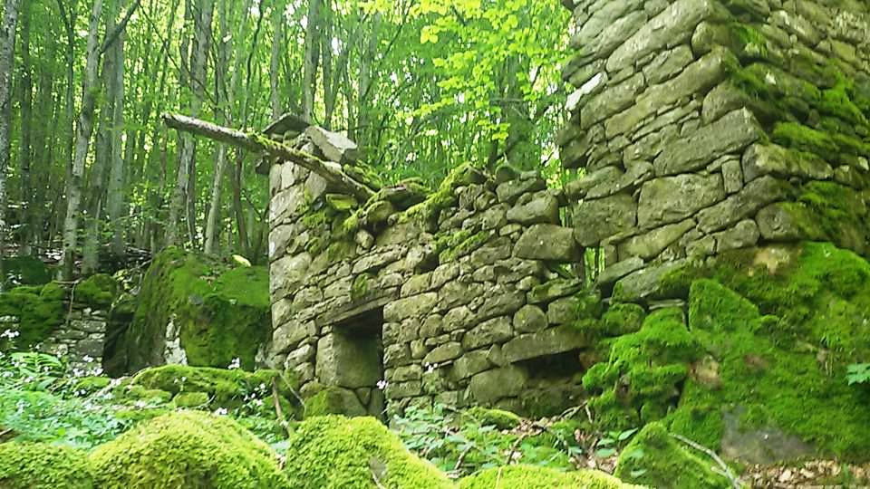 Mirandola il paese fantasma