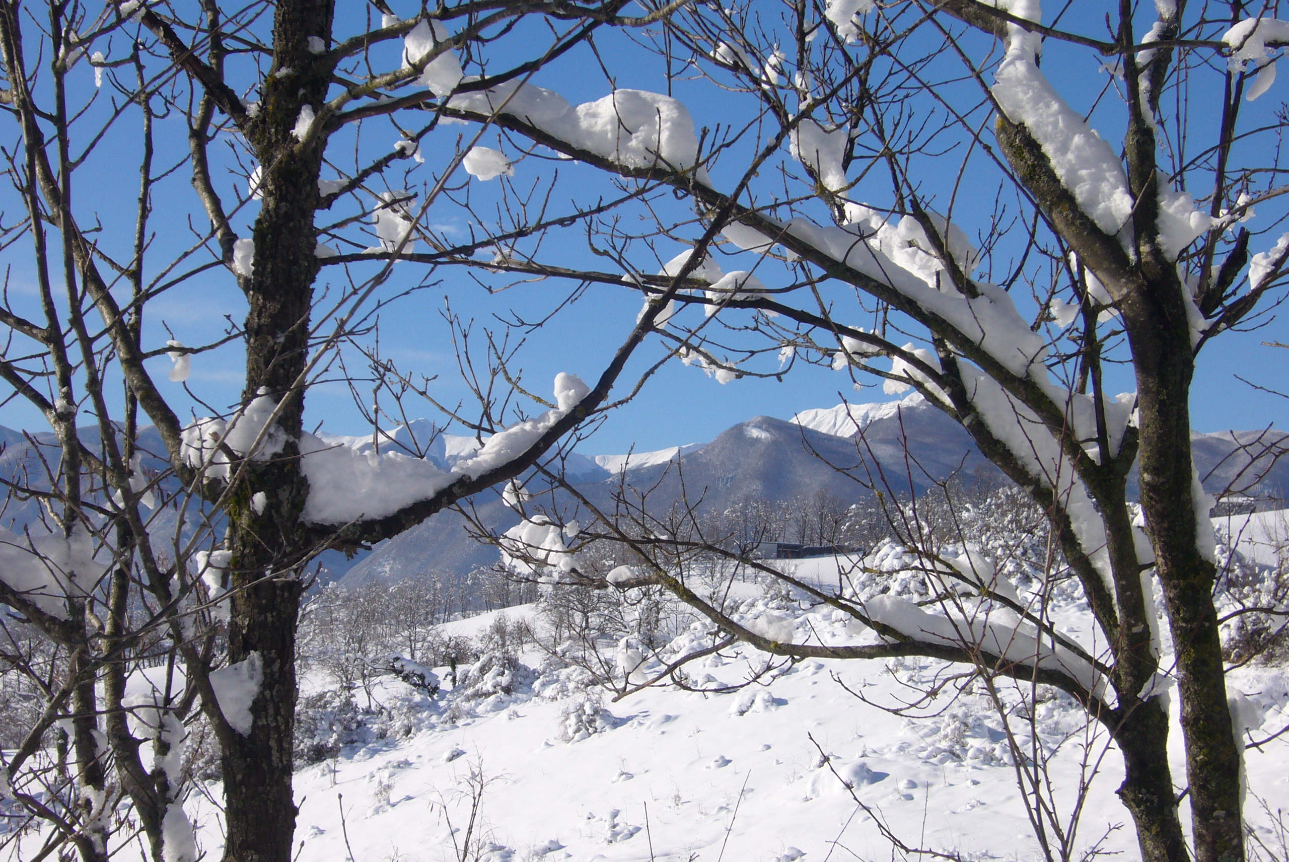 Nevicata a Gaggio