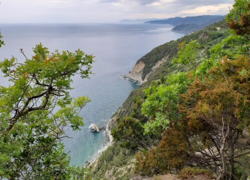 Trekking ALTA VIA delle Cinque Terre