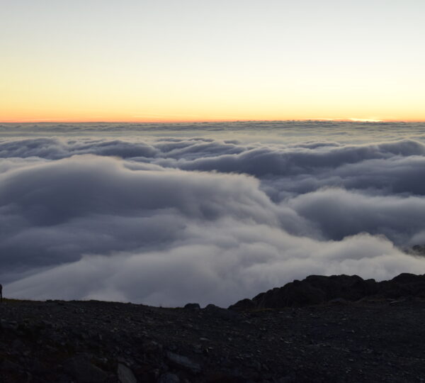 Stambecco davanti alle Nuvole al Rifugio Quintino Sella, sulle alpi piemontesi, ai piedi del Monviso
