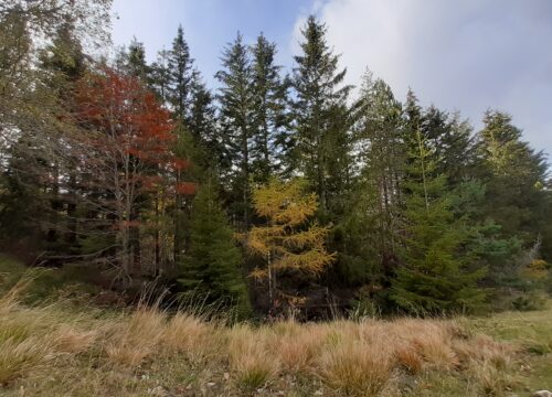 Colori autunnali e paesaggi da Far West ai piedi del Cimone