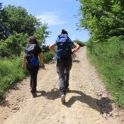 a passeggio sui sentieri