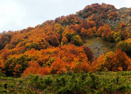 Foliage nella Valle delle Tagliole