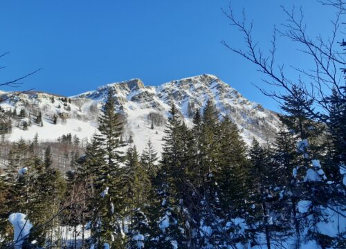 Le foreste della Val di Luce