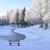 lago della ninfa inverno