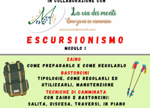 Escursionismo: zaino, bastoncini da trekking e tecniche di camminata