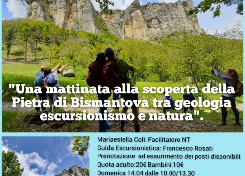 Escursione con attività di Nature Therapy